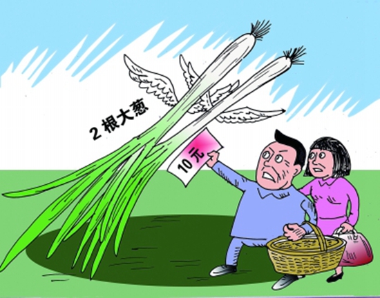 高價(jià)蔥提升成本，菜品價(jià)到底漲不漲愁壞老板