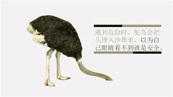 這6個詞，你誤解了任何一個，都能讓你錯過“風(fēng)口”