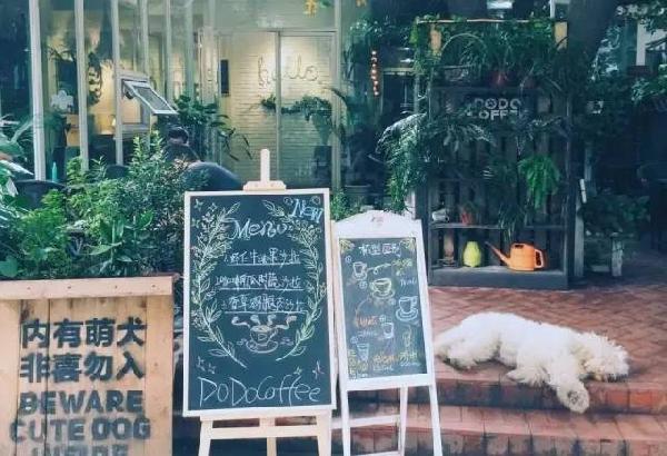 如何開家能賺錢的咖啡館？過來人是這樣算帳的...|餐飲界