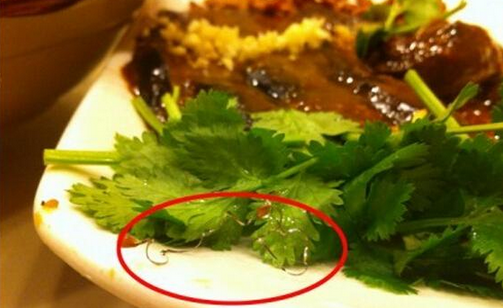 食客在餐廳吃到鋼絲，餐廳被判賠償食客206萬(wàn)，并罰款686萬(wàn)