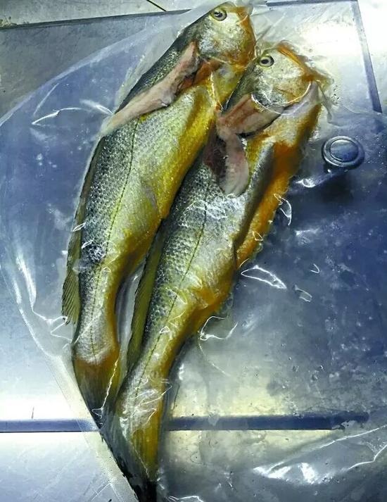 兩條小黃魚(yú)賣4628元：沒(méi)有菜牌，也沒(méi)有價(jià)格公示