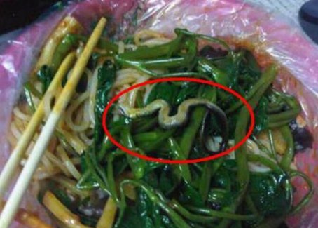 震驚！廣西大學(xué)一螺螄粉店竟然吃出一條蛇！真相是？