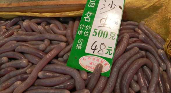 ?？谝徊蛷d沙蟲被食客質(zhì)疑不干凈 食藥監(jiān)：沒毛病