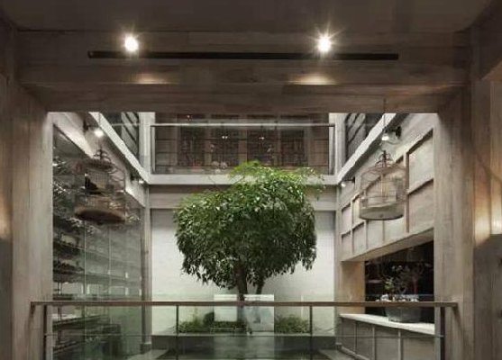 餐廳運(yùn)用上這些植物裝飾，格調(diào)空間立馬不同