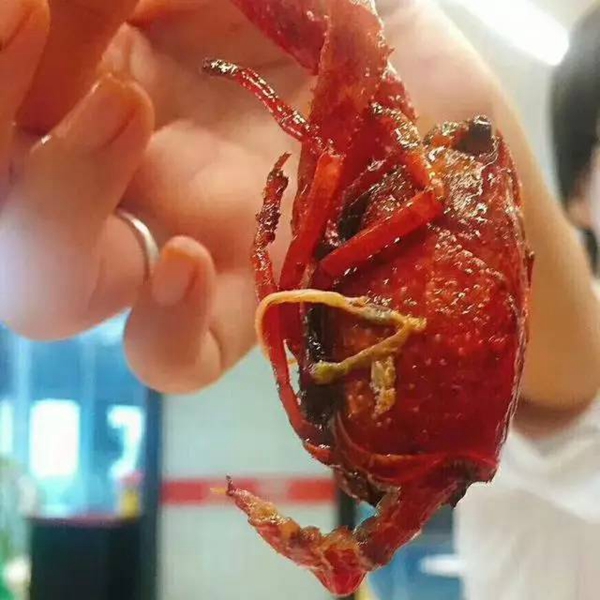 帝都當(dāng)紅小龍蝦測(cè)評(píng)：誰家的“麻小”在說謊？|餐飲界