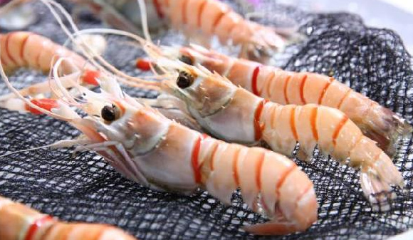 進口食品需求每年遞增15%，餐飲人卻還是找不到渠道？