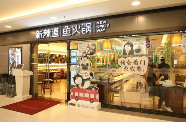 破局傳統(tǒng)營銷思維，看新辣道如何跨界&借勢瘋狂圈粉？ | 案例