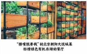 但凡說(shuō)紙巾要2元的餐廳，我不會(huì)去第二次！|餐飲界