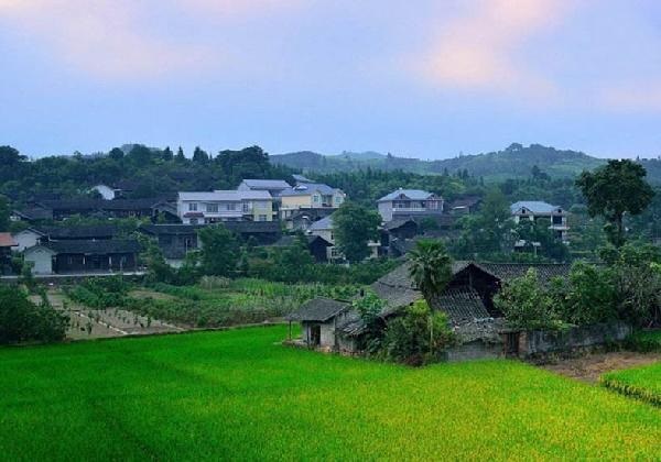 城市水太深，回鄉(xiāng)開餐廳？看完這篇你再做決定……