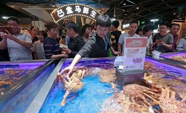 深度報告：盒馬對餐飲有什么企圖？