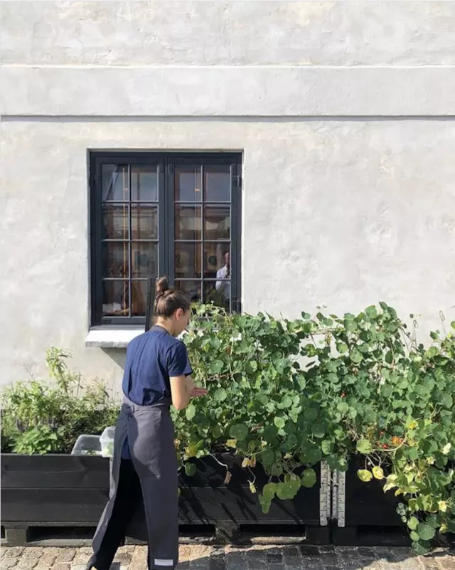 全球最佳餐廳Noma開放明年預訂，內容是上半年的海鮮季