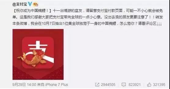 “錦鯉”火了，為什么我不建議跟風(fēng)蹭這個(gè)大熱點(diǎn)？