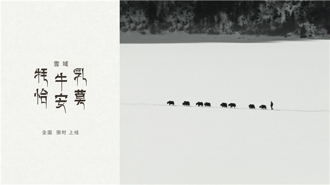 源自3500米高原牧場(chǎng)，喜茶西藏限定「雪域·牦牛乳恰安莫」限時(shí)全國(guó)上新